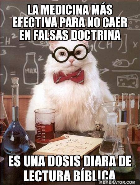 EL consejo del gato