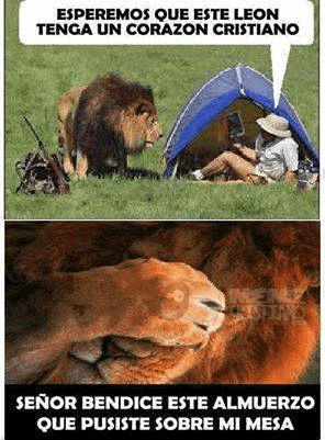 Un León cristiano