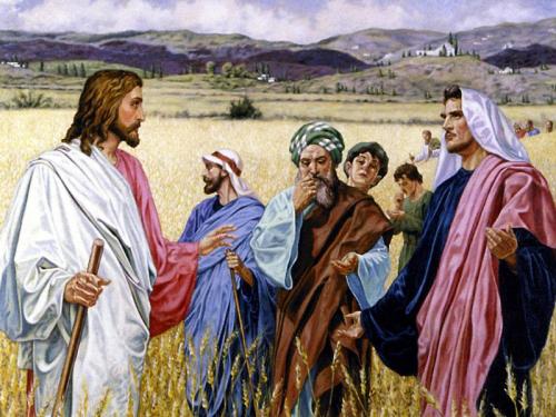 Devocional: Le pondré en alto