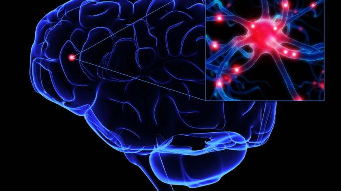 Nuevo tratamiento para ELA con aplicaciones al alzhéimer y párkinson
