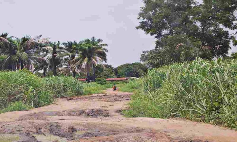Nigeria: 8 cristianos fueron secuestrados mientras iban a evangelizar