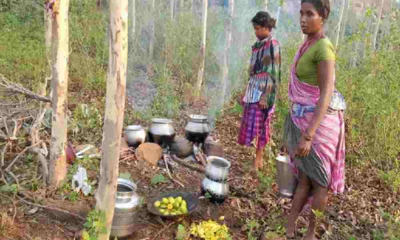 Familias cristianas continúan siendo obligadas a vivir en la selva